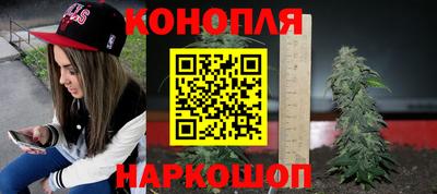 тгк Камышлов