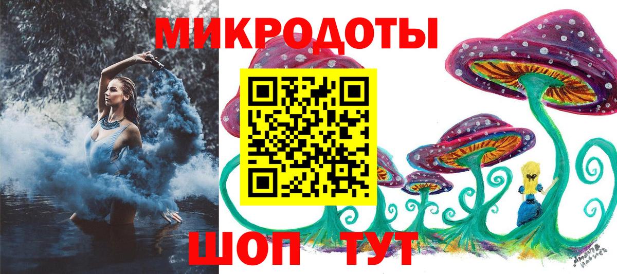 Галлюциногенные грибы Psilocybine cubensis Кузнецк
