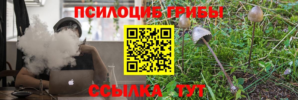 Кузнецк  Псилоцибиновые грибы Cubensis  Вход с VPN  Галлюциногенные грибы Magic Shrooms 