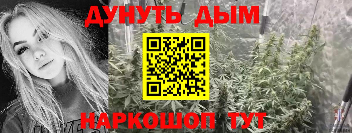 Конопля семена  Вход с VPN  Бошки марихуана тримм  Канабис VHQ  Кузнецк  Каннабис ГИДРОПОН 